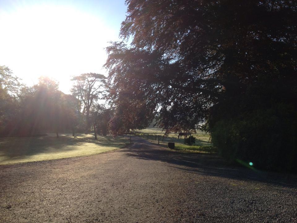 Clonacody House Guest House Clonmel Bagian luar foto